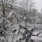 Sneeuwtuin