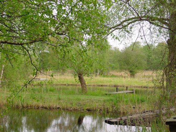 Staand naast/achter Z****stein