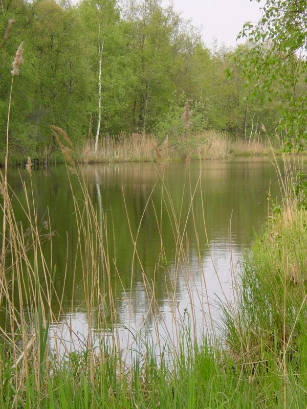 Uitzicht op Vinkenstein vanaf Klein Oost(?)