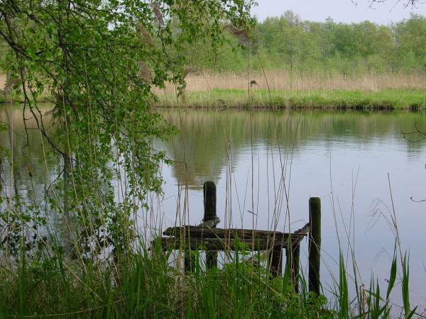 gammele steiger, uitzicht Klein Oost