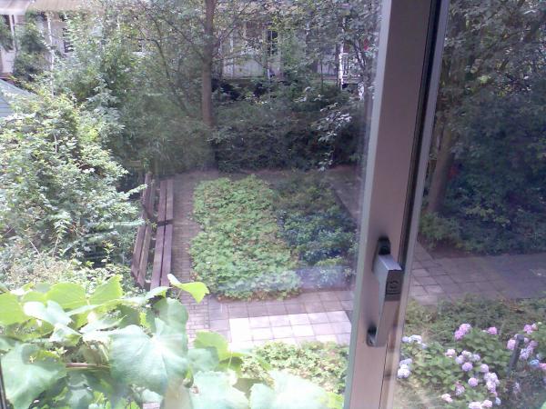 Achtertuin overdag Achtertuin overdag