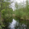 (vaar)water vanaf een bruggetje