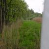 Rietrand langs bosrand