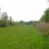 Groot Oost (rechtsaf)