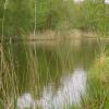 Uitzicht op Vinkenstein vanaf Klein Oost(?)