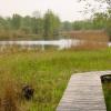 Terug naar Z***stein, uitzicht over het water