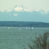 View on the bay