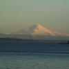 More Mt Rainier