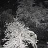 Sneeuwavond 1